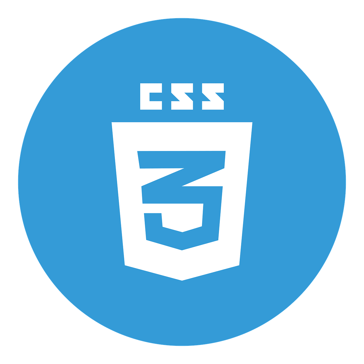 logo icônes logo CSS